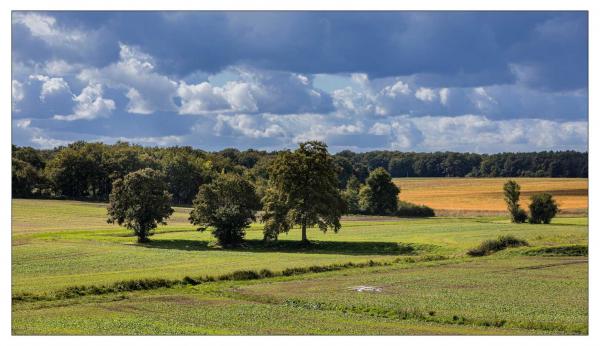 Loir et Cher