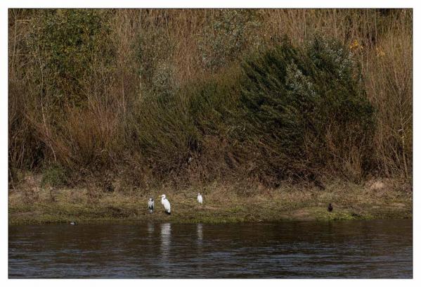 Chaumont sur Loire