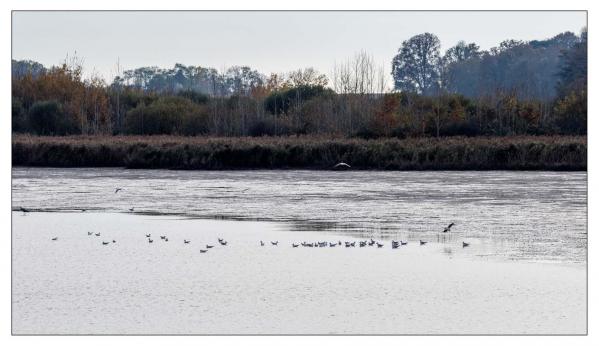 Chaumont sur Loire