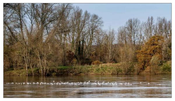 Chaumont sur Loire