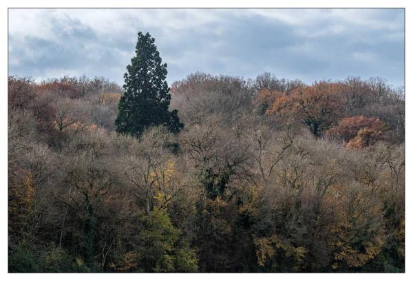 Chaumont sur Loire