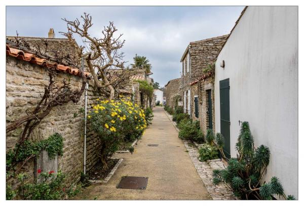 Île de Ré