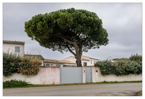 Île de Ré