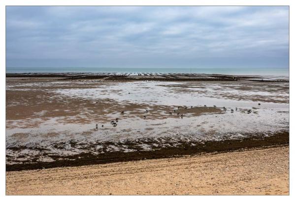 Île de Ré