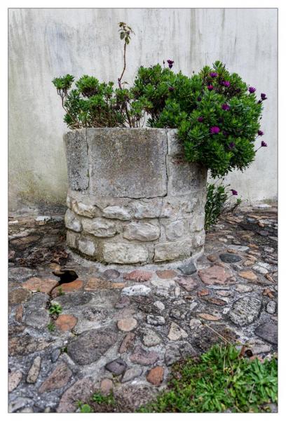 Île de Ré