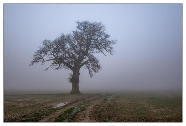 Loir et Cher